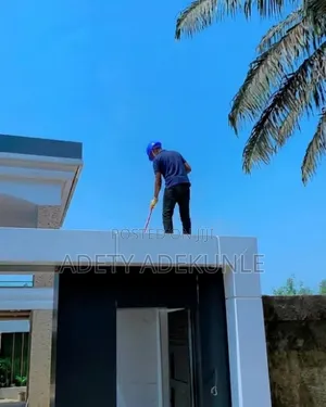 Professional Cleaning Services