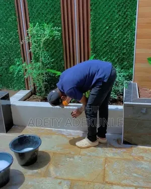 Professional Cleaning Services