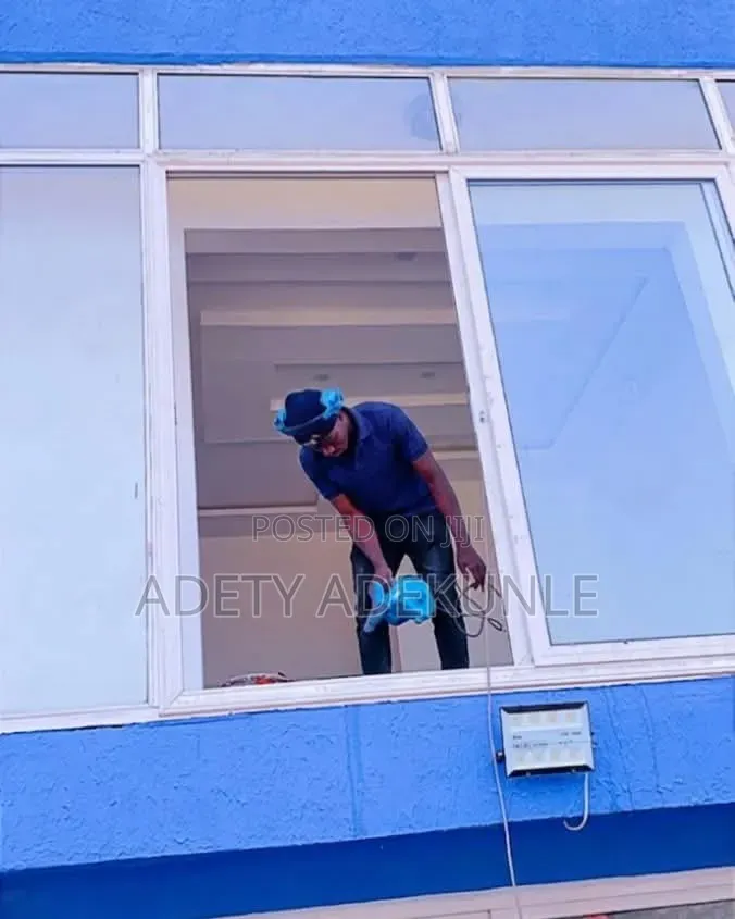 Professional Cleaning Services