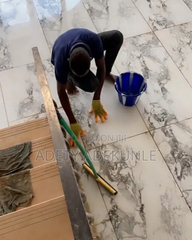 Professional Cleaning Services