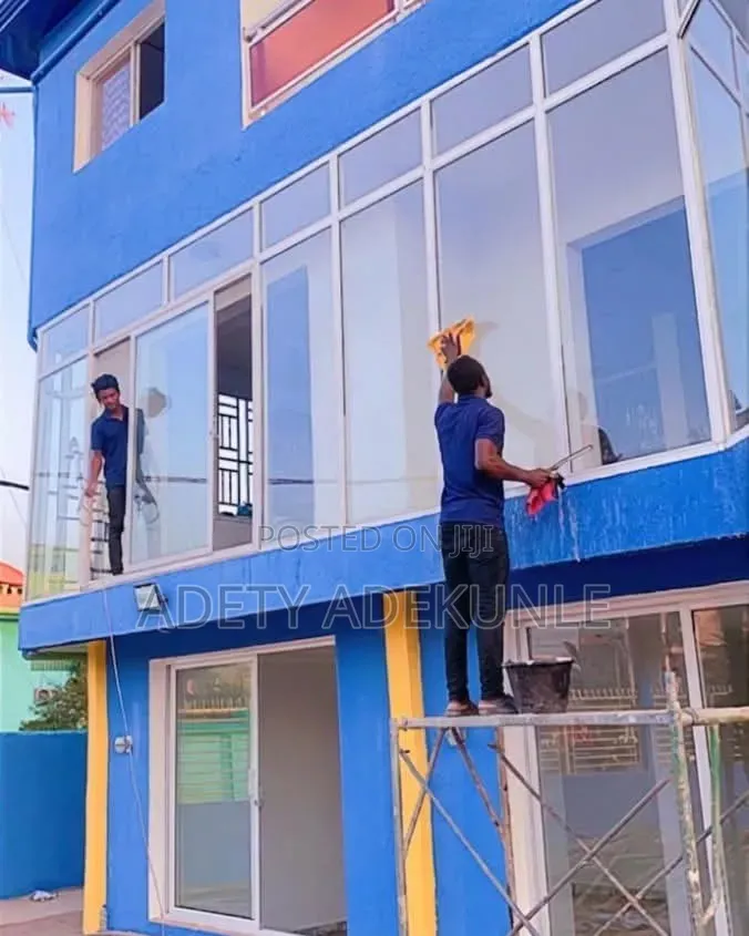 Professional Cleaning Services