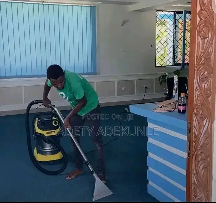 Professional Cleaning Services