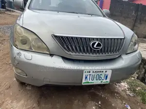 Lexus RX 350 2007 Gray