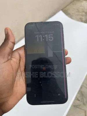 Apple iPhone 12 Pro Max 128 GB Gray