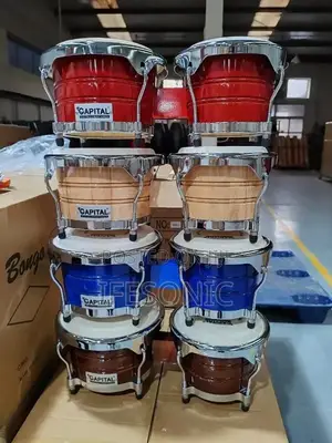 Bongo Drums