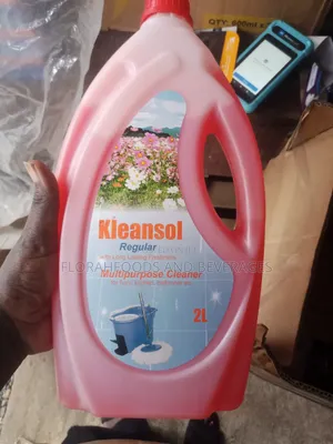 Kleansol Regular Multipurpose Cleaner 2L×6