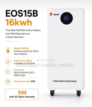 16.07kwh Srne Lithium Battery 8000 Circle 10-Years Warranty
