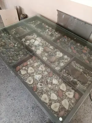 Glass Top Table/ Center Table
