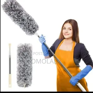 Adjustable Cobweb Remover Brush