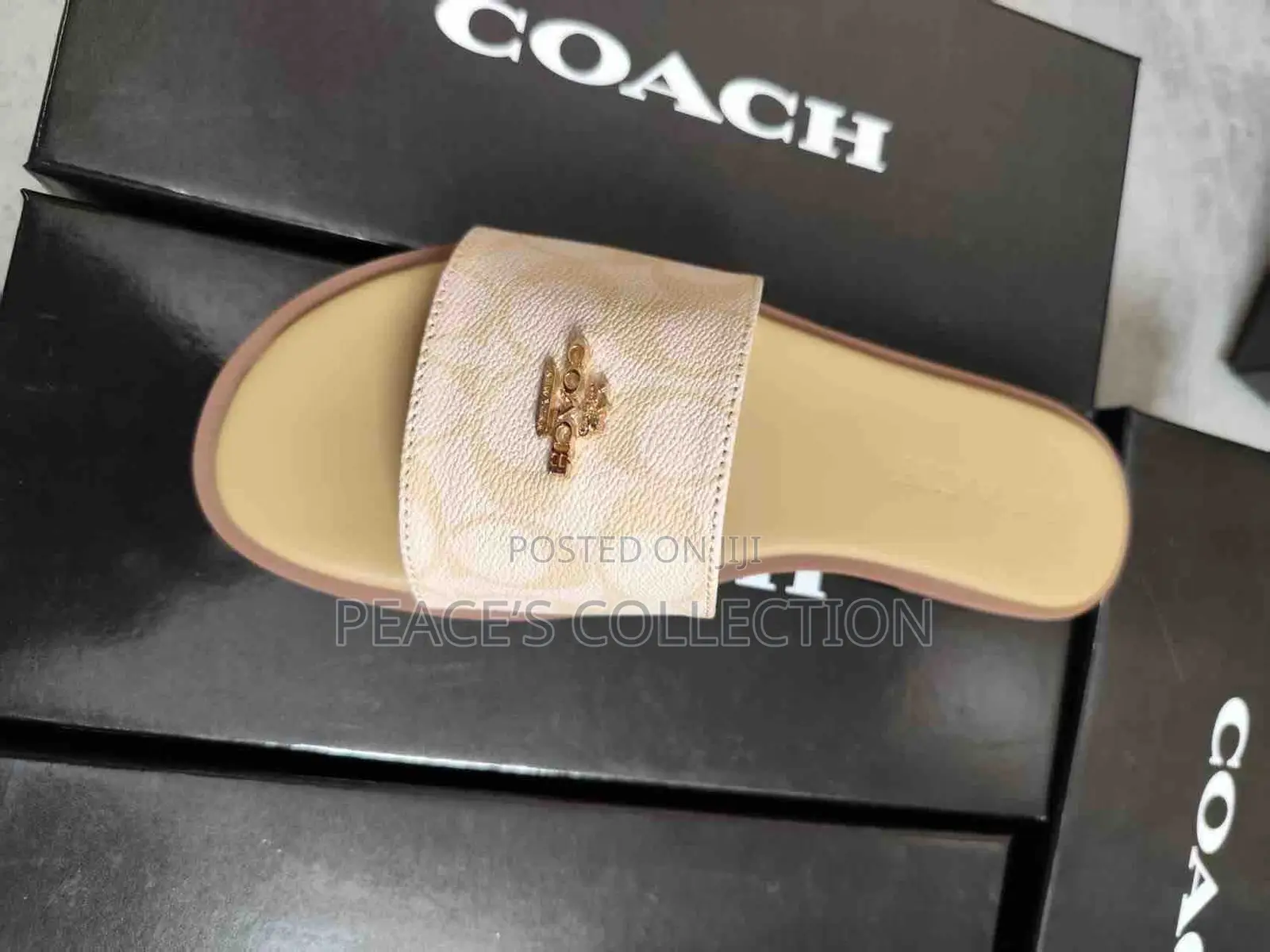 Coach Slippers