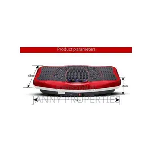 Whole Body Massager