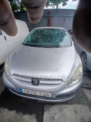 Peugeot 307 2007 Silver