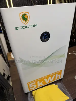 Ecolion 5kWh 24V Reliable Lithium Battery