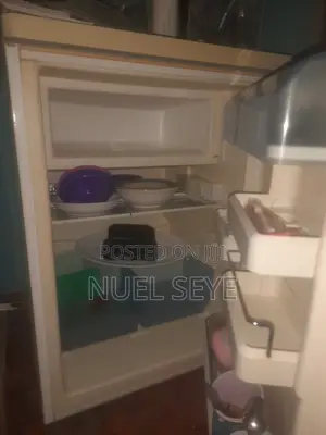 Bosch Fridge and Freezer