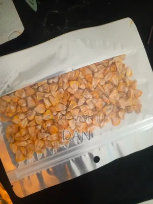Sweet Corn Hybrid Seeds