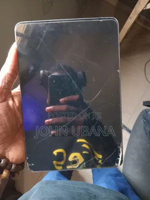 Apple iPad mini 5 (2019) 256 GB Gray