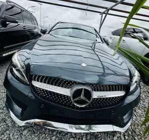 Mercedes-Benz C300 Base Sedan RWD (2.0L 4cyl 7A) 2016 Gray
