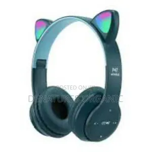 Cat Head Set High Quality Music Sounds to Keep Your Day Good