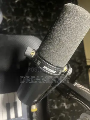 Shure Sm7b Podcast and Music Microphone