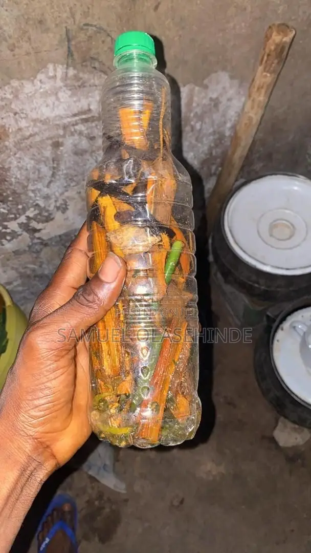New or Reoccurring Infection Cure Herb
