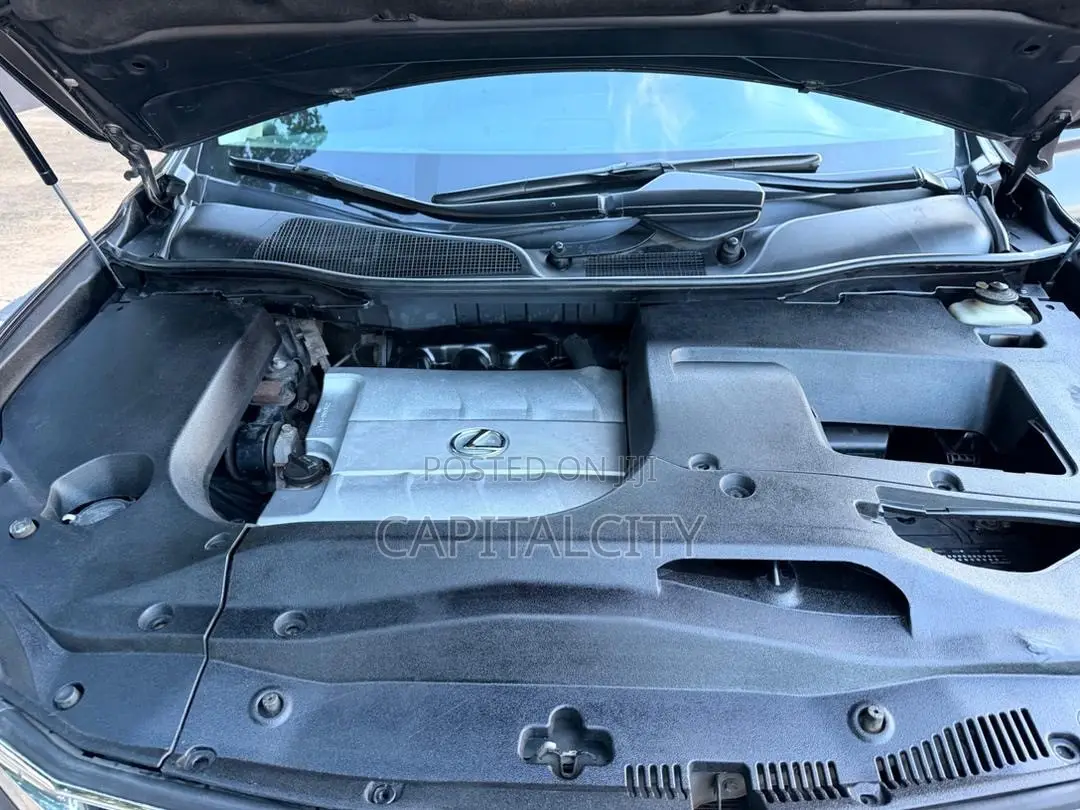 Lexus RX 350 2010 Gray
