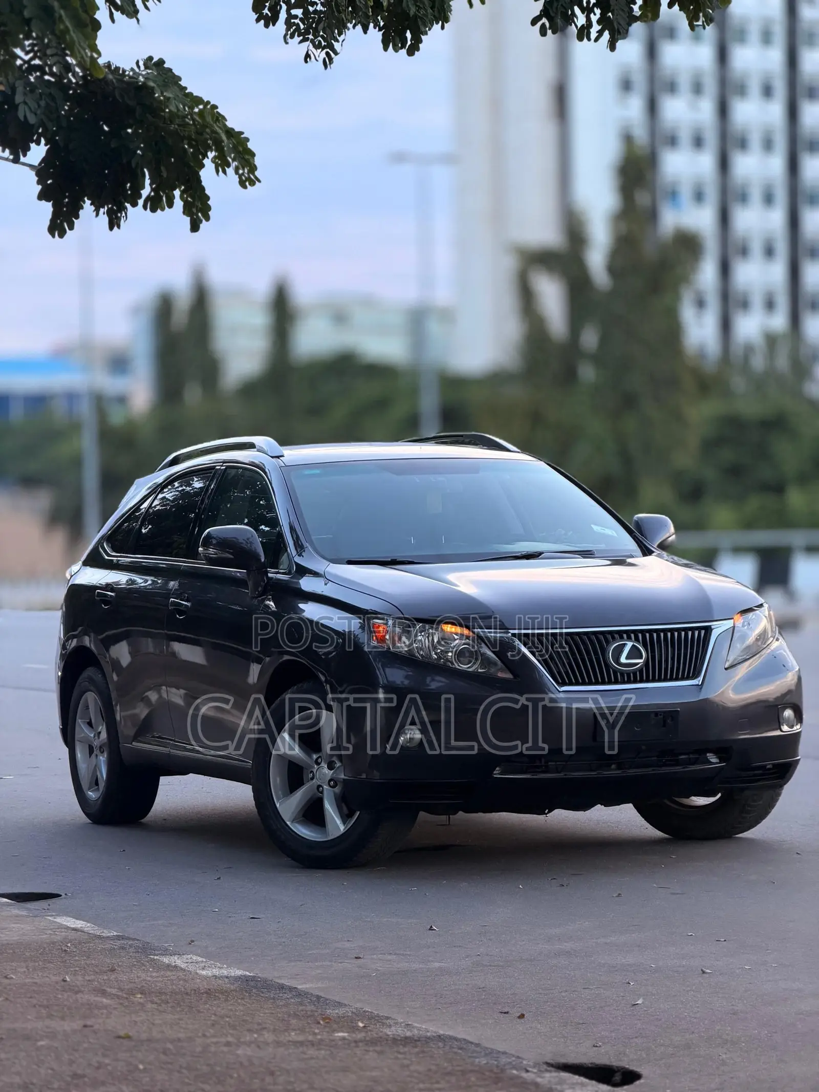 Lexus RX 350 2010 Gray