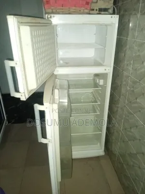 1year Used Freezer One of My Best Appliances. Free Stabilizer. MAGBORO