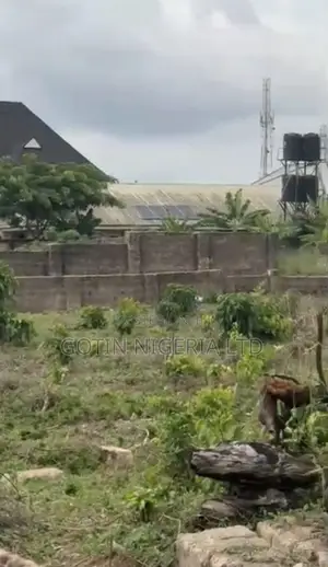 Fenced 100×200ft Corner Plot at Aruogba, Airport Road