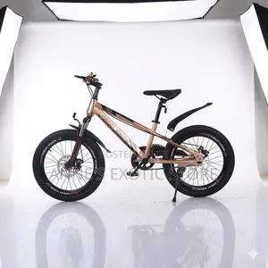 22-Inch Sports Bicycle – High-Carbon Steel Frame With Disc Brakes