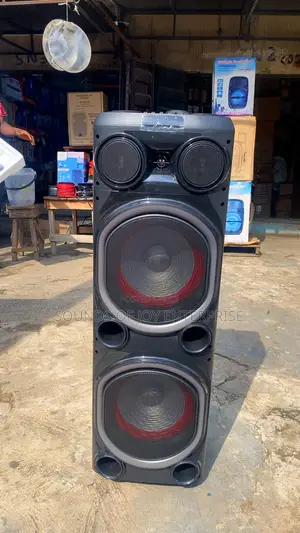 Professional 15 Inches Double Public Address System