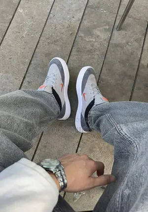 Original Nike SB Malor Gray Sneaker