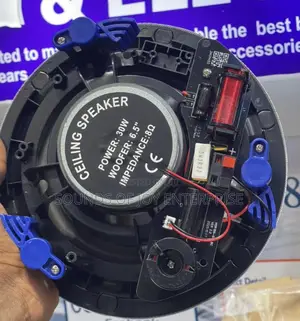30w Celing Speaker