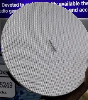 30w Celing Speaker