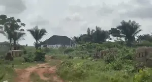 100×100ft Land, 5 Poles From Tarred Road, Iguadolor
