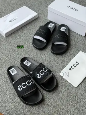 Ecco Available