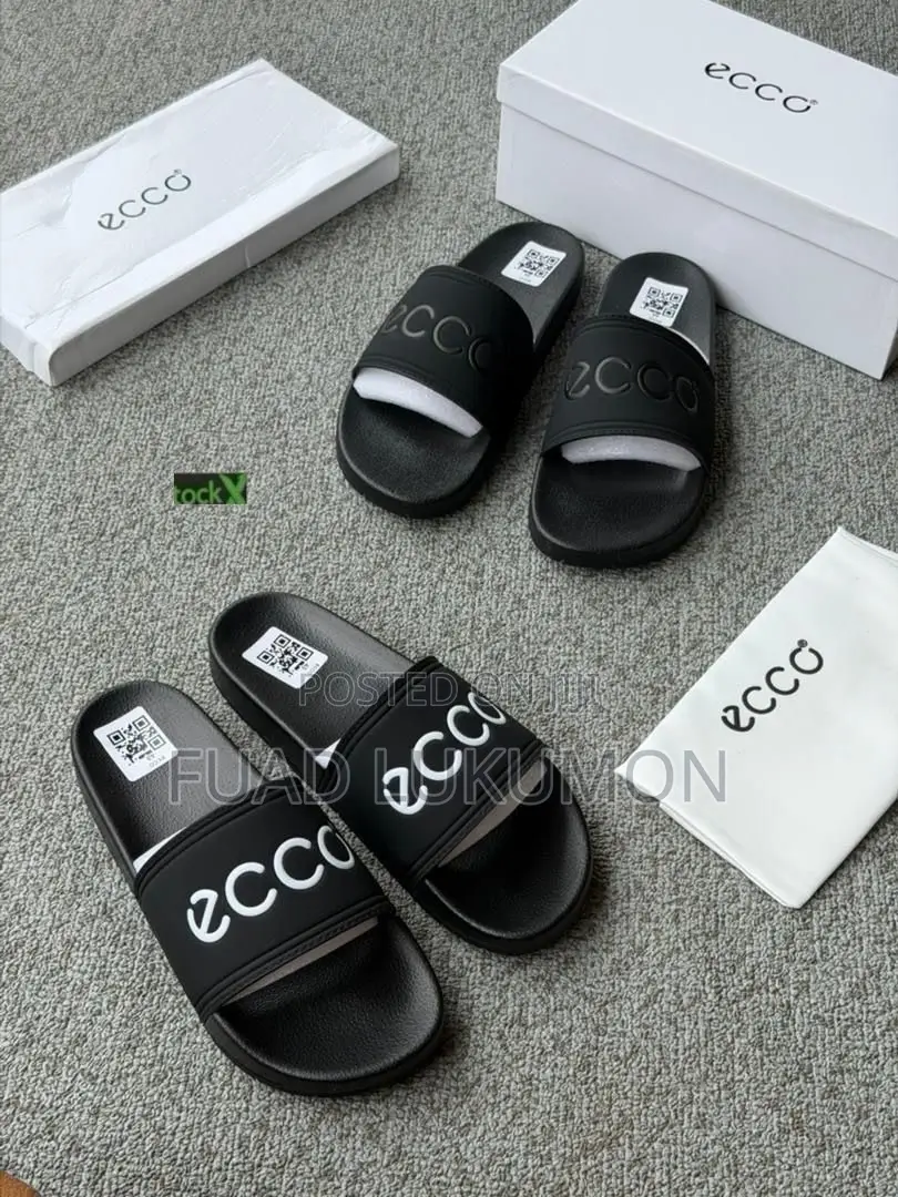 Ecco Available