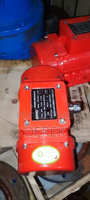 Vibrator Motor