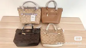 Ladies Bag