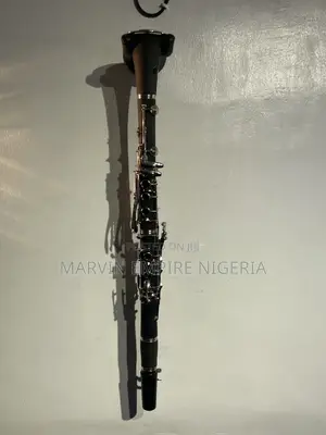 Professional Evans USA Clarinet With Box