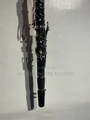 Professional Evans USA Clarinet With Box
