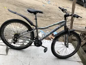 Adult Bicycle