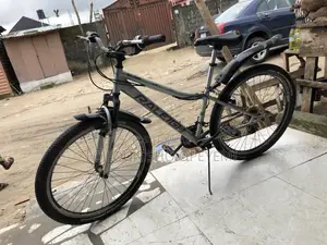 Adult Bicycle