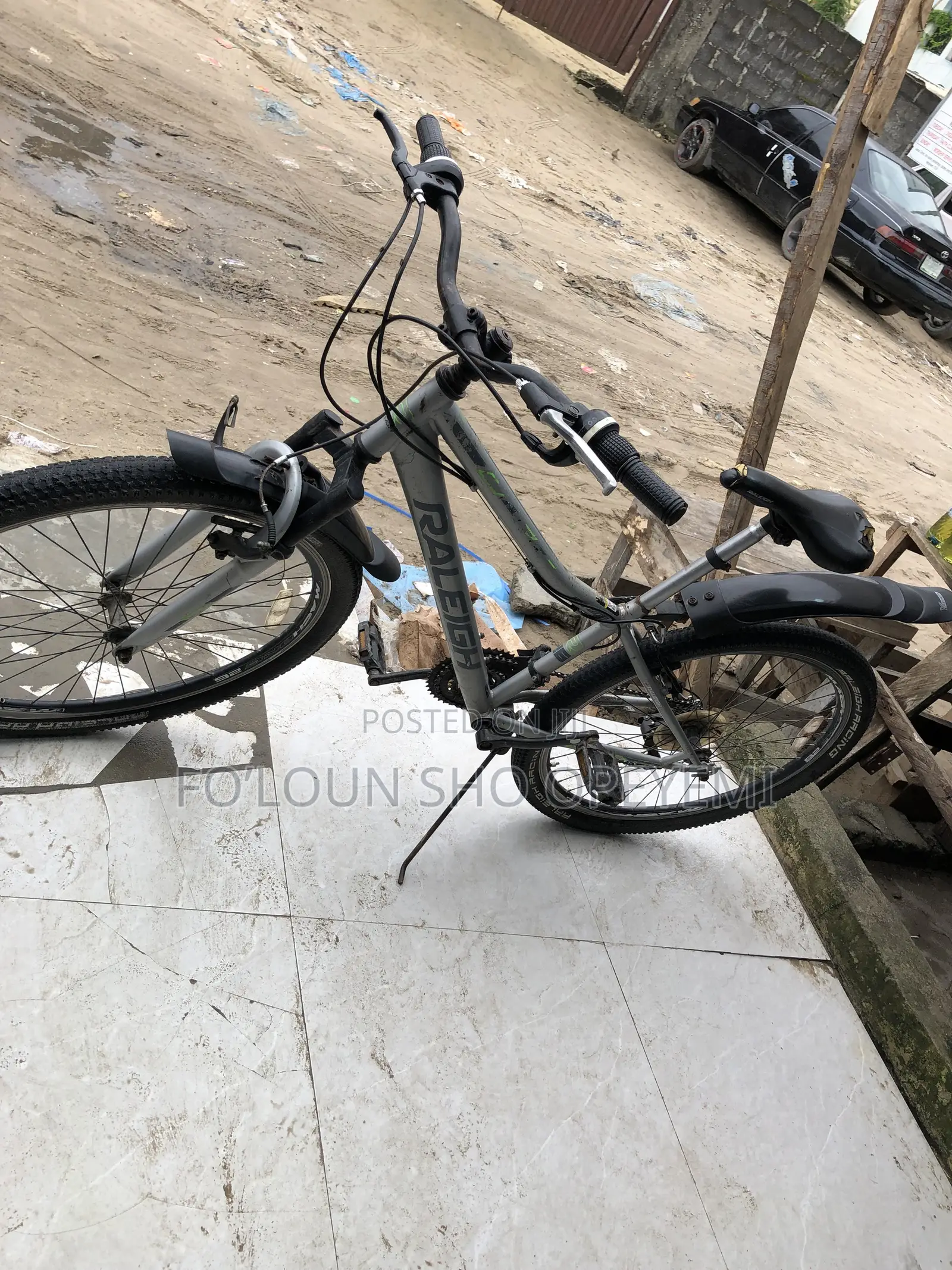 Adult Bicycle