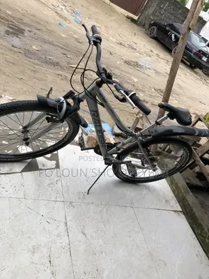 Adult Bicycle