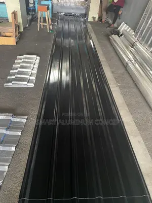 The Roofing Professionals Trus/Black/0.58