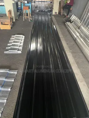 The Roofing Professionals Trus/Black/0.58