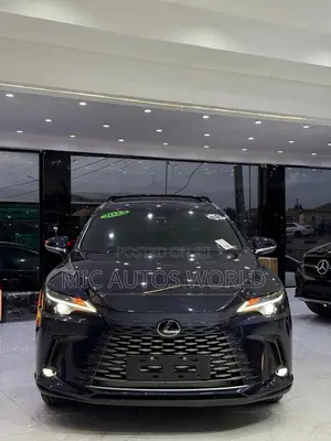 Lexus RX 2024 Black