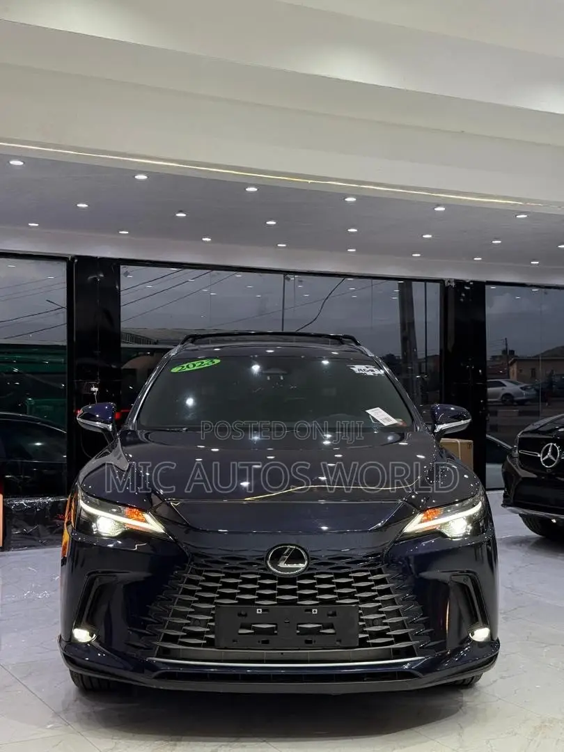 Lexus RX 2024 Black