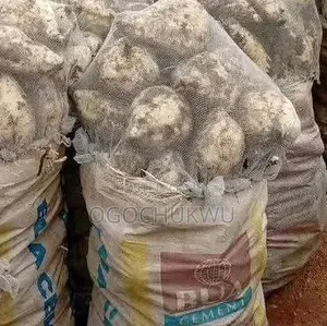 A Bag of Sweet Potatoes