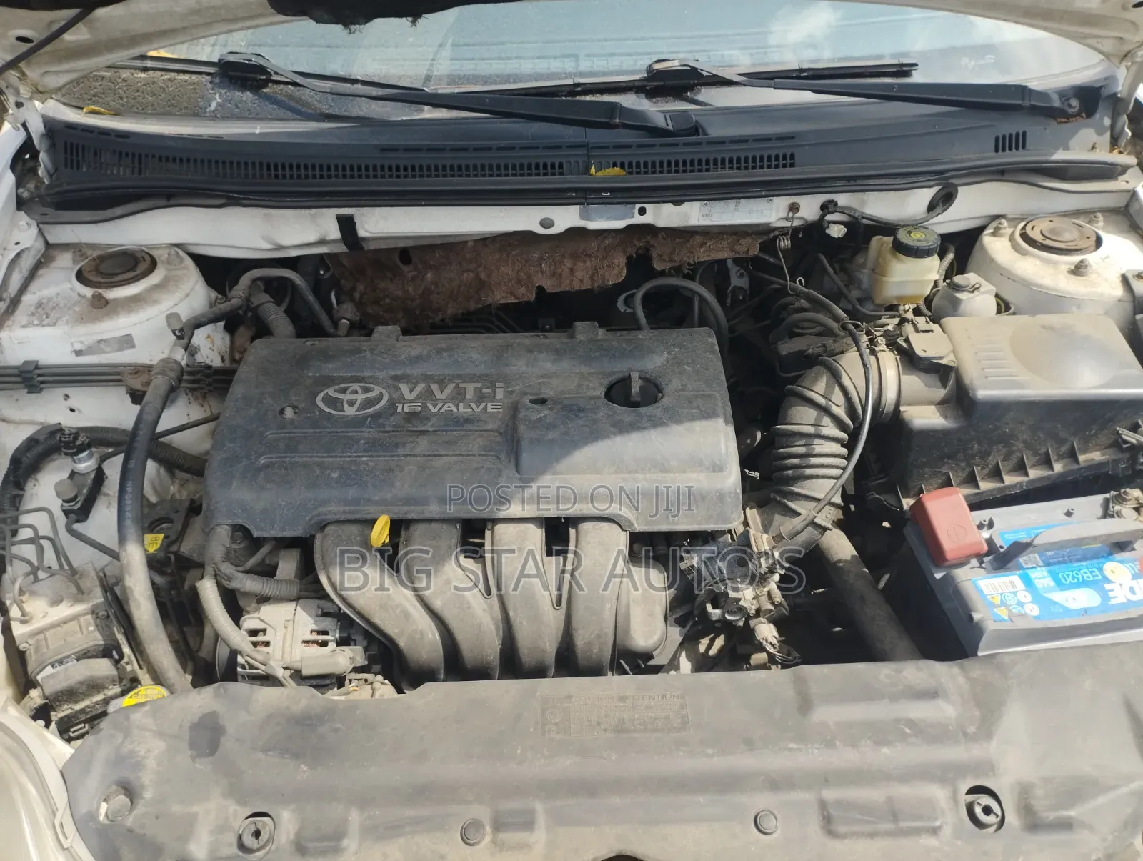 Toyota Corolla 2003 White
